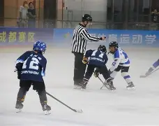联赛巅峰对决！庐州烈马队守住胜果剑门风暴队，冰球赛场再起波澜；主场山呼海啸